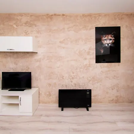 Cozy Apartment Sofia
